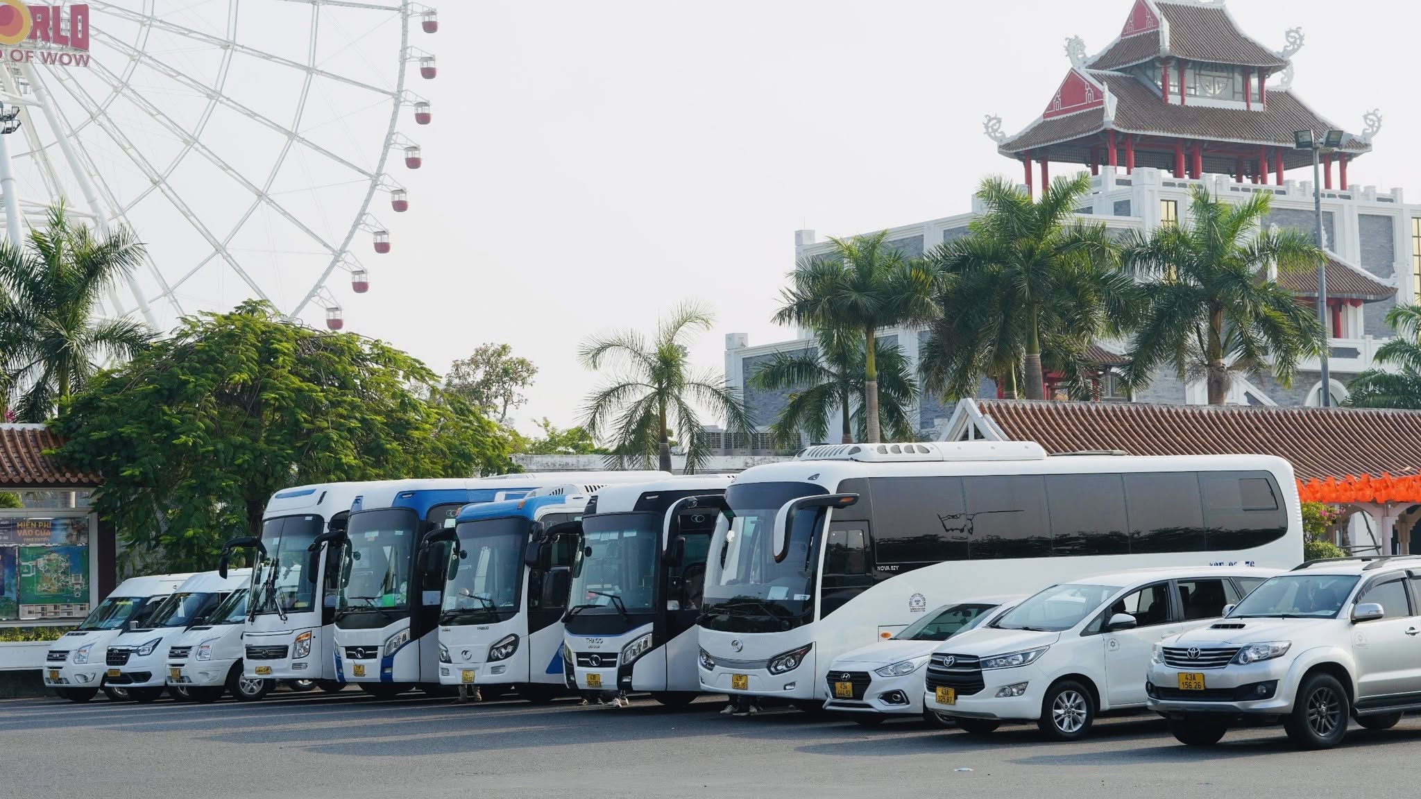 Tourist Bus & Big Coach (29–45 Seater)