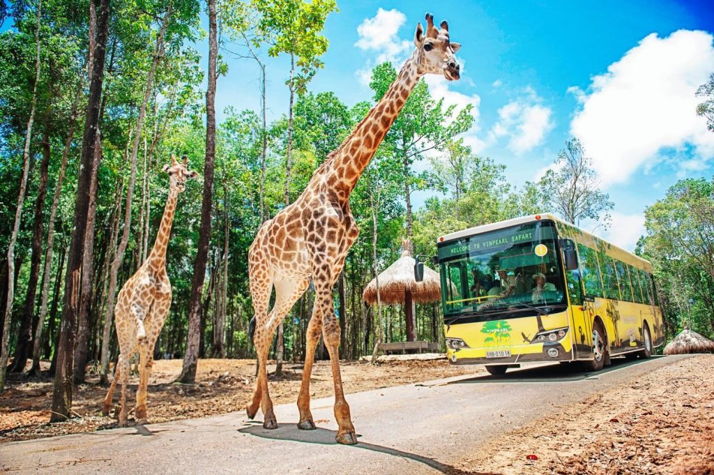 Vinpearl Safari & VinWonders Phu Quoc Theme Park (MEALS B, L, D)